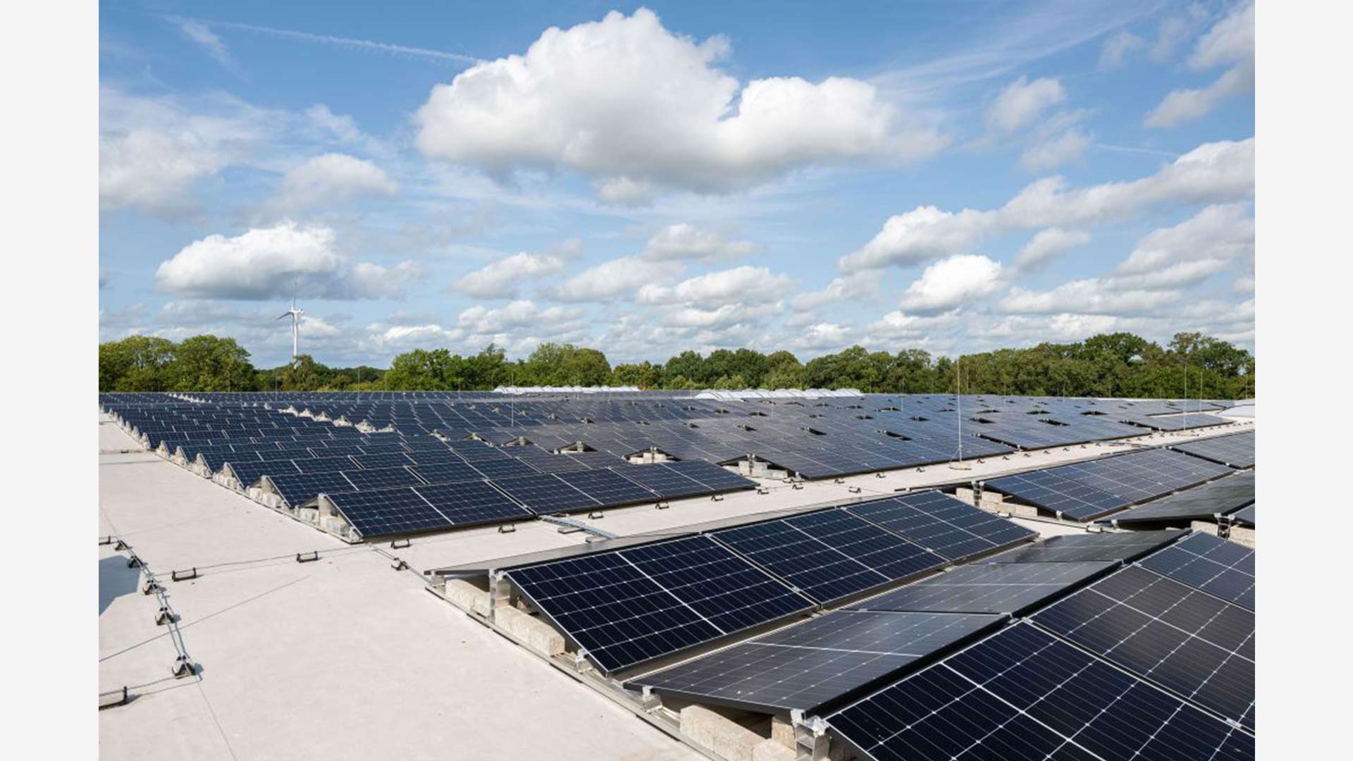 [Translate to English:] 