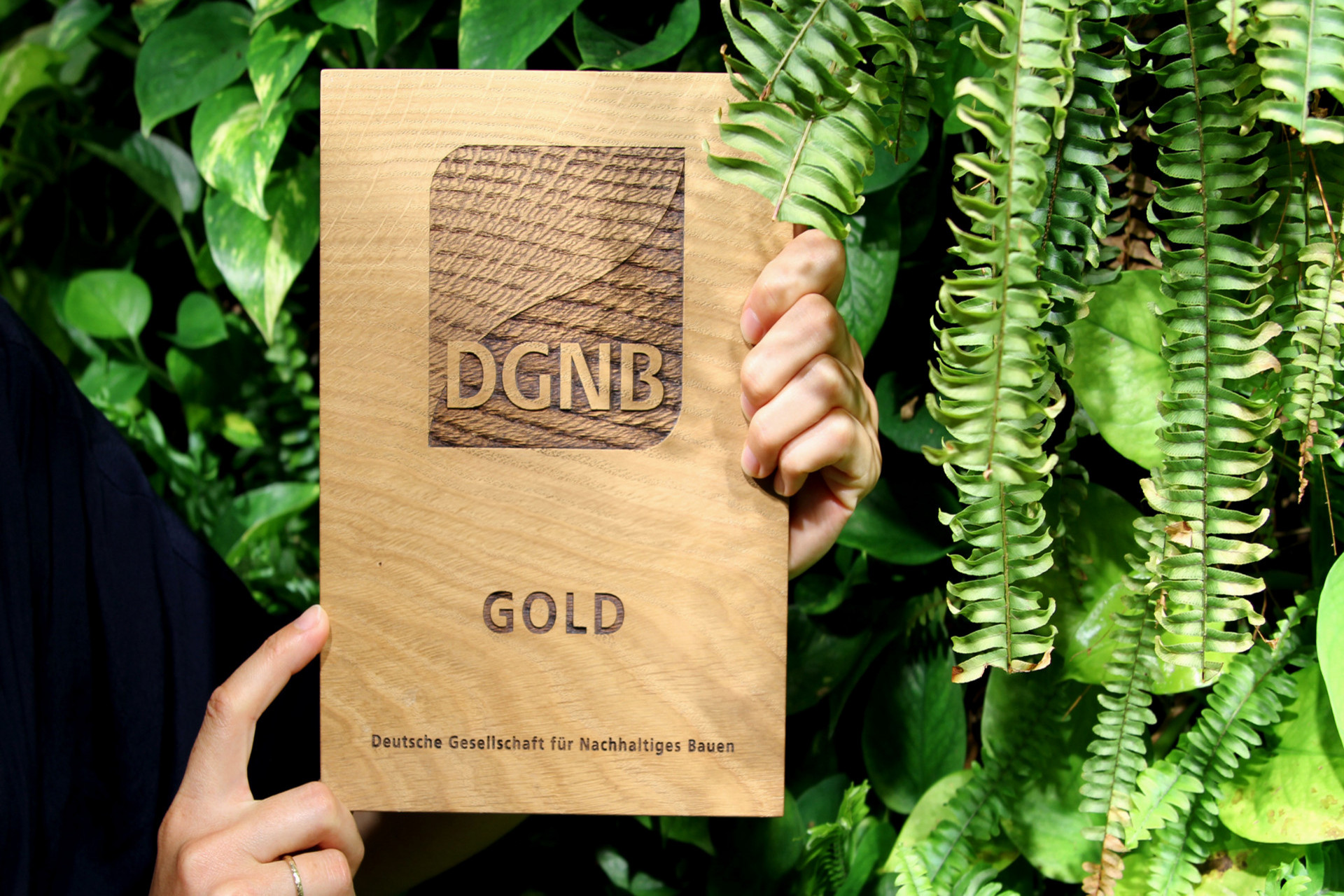 DGNB Holzplakette, Zertifizierung in Gold