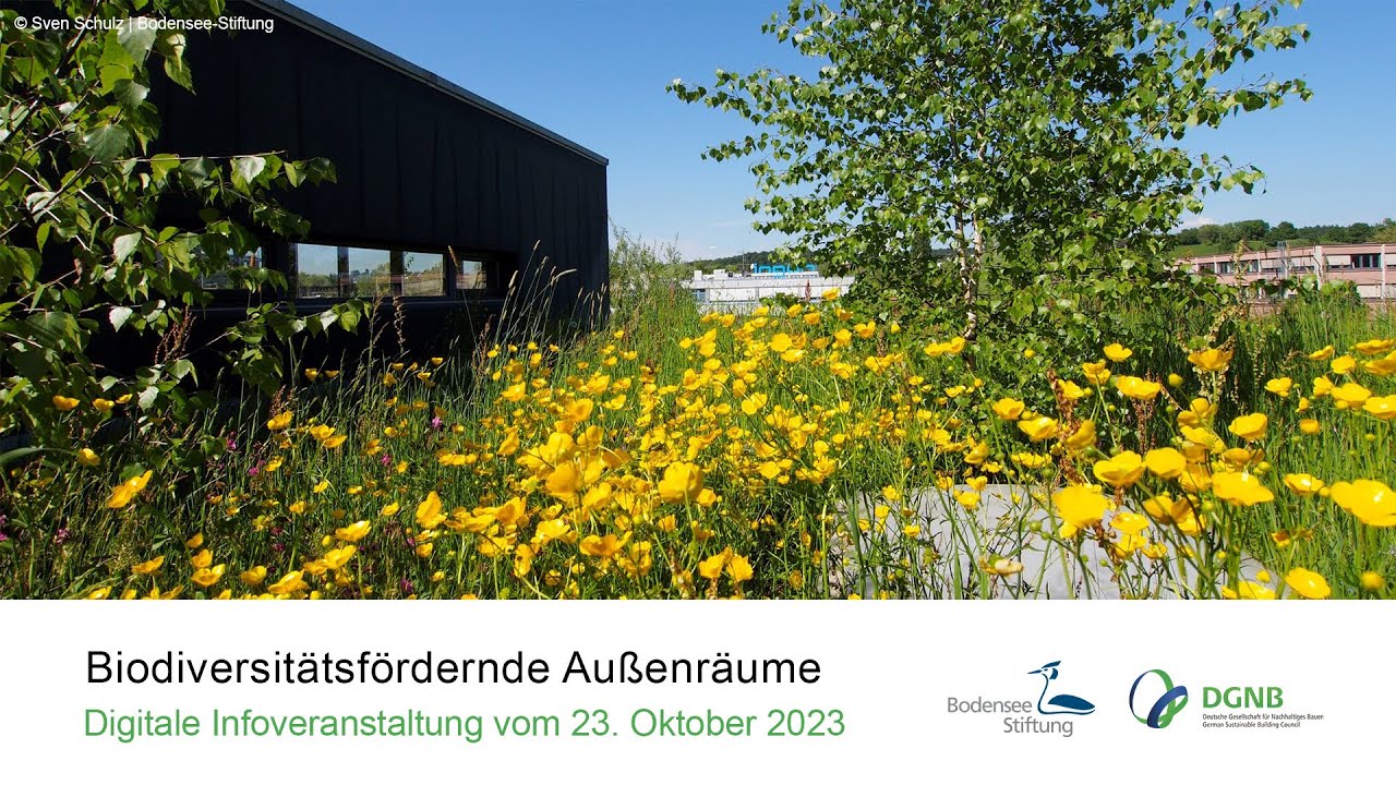 Die neue DGNB Zertifizierung für biodiversitätsfördernde Außenräume